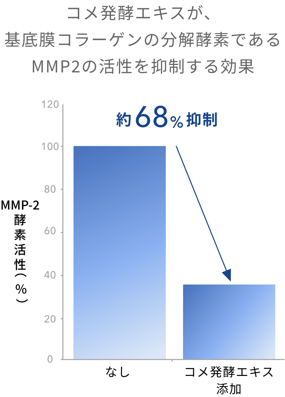 基底膜コラーゲン分解抑制効果