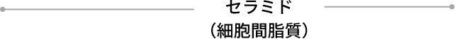 セラミド（細胞間脂質）