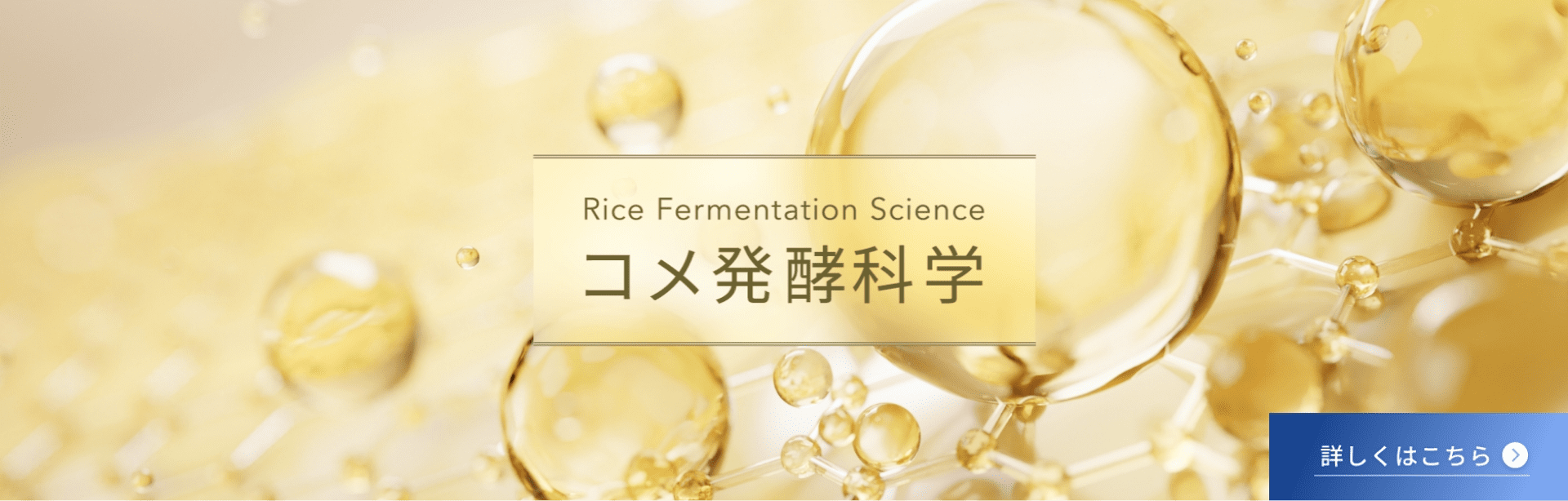 Rice Fermentation Science コメ発酵科学 詳しくはこちら