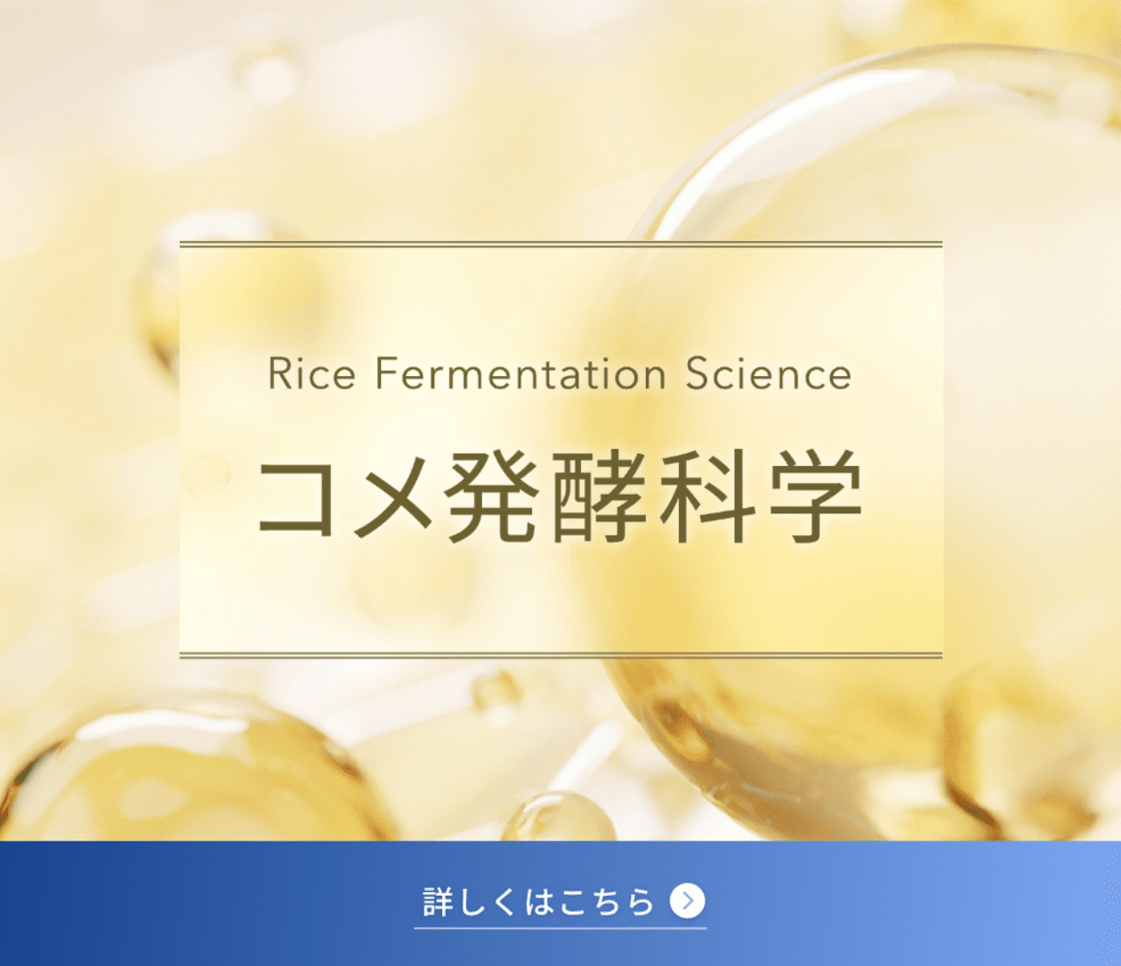 Rice Fermentation Science コメ発酵科学 詳しくはこちら