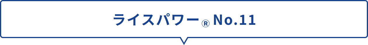 ライスパワーNo.11
