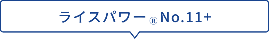 ライスパワーNo.11+