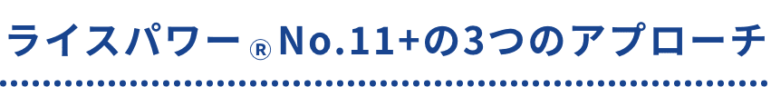 ライスパワー No.11+の3つのアプローチ