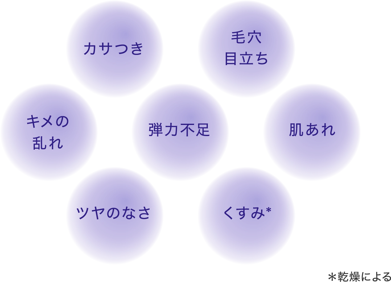 カサつき キメ 肌あれ くすみ※ ツヤ 弾力 毛穴 ※乾燥による