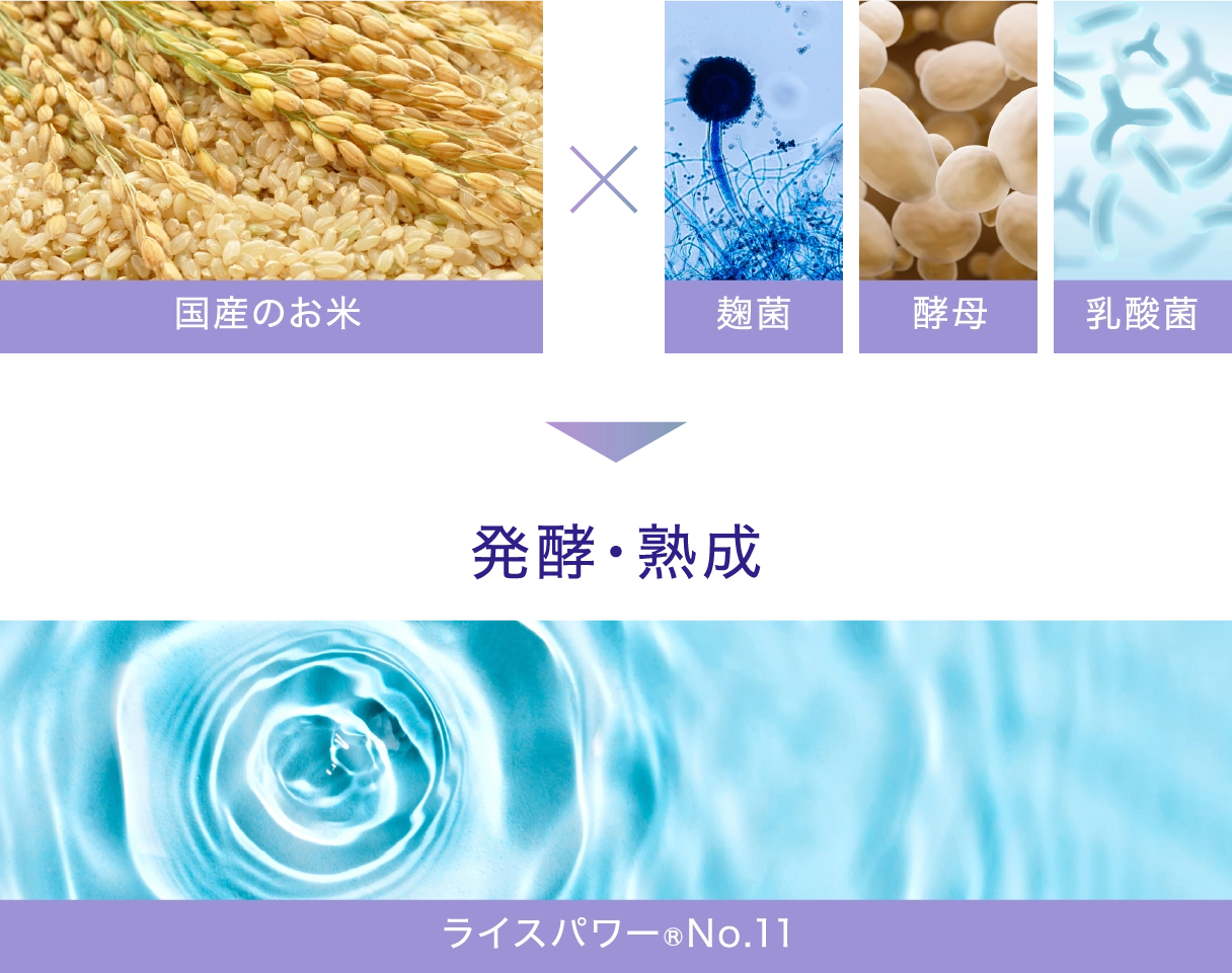 国産のお米 &times; 麹菌・酵母・乳酸菌 発酵・熟成 ライスパワー&reg;No.11