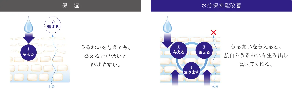 保湿 うるおいを与えても、蓄える力が低いと逃げやすい。 水分保持能改善 うるおいを与えると、肌自らうるおいを生み出し蓄えてくれる。