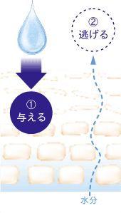 保湿