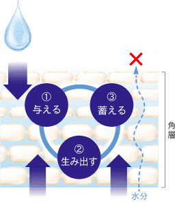 セラムヴェール シリーズ
