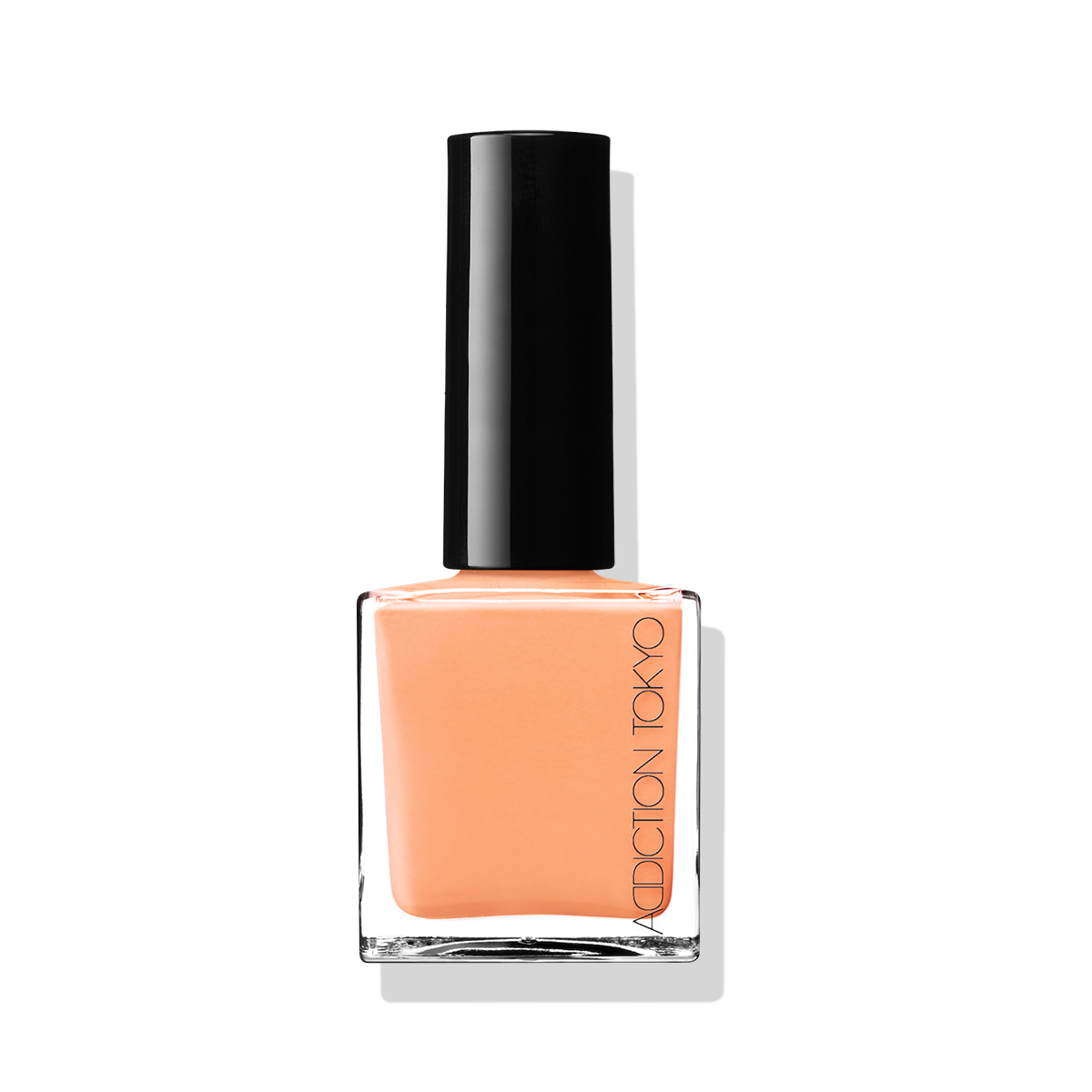 ザ ネイルポリッシュ + (Spring 2026)