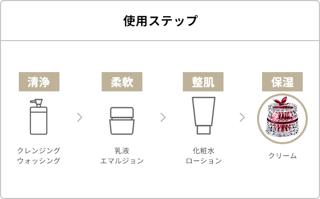 使用ステップ
