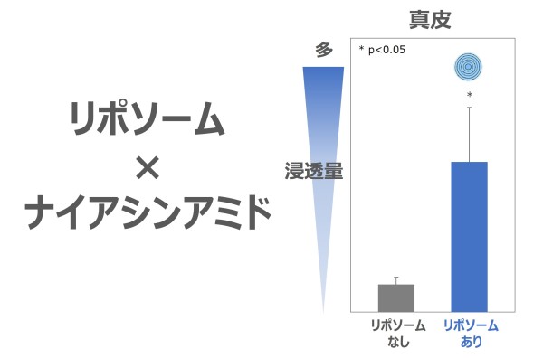 リポソーム技術によりナイアシンアミドの肌浸透性を高められることを確認<span class="filesize__info">PDF:260KB</span>