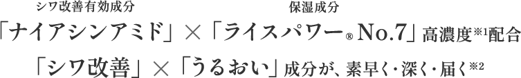 シワ改善有効成分「ナイアシンアミド」×保湿成分「ライスパワー(R)No.7」高濃度※1配合 「シワ改善」×「うるおい」成分が、素早く・深く・届く※2
