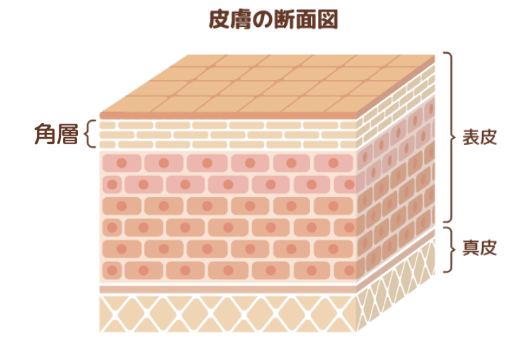 古い角質のイメージ