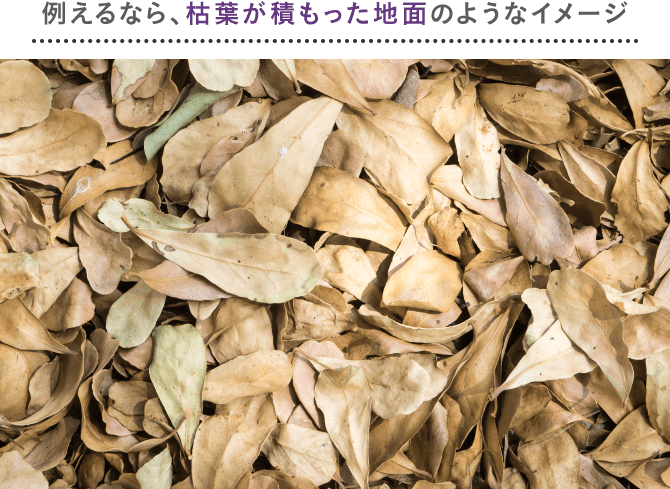 例えるなら、枯葉が積もった地面みたいな？