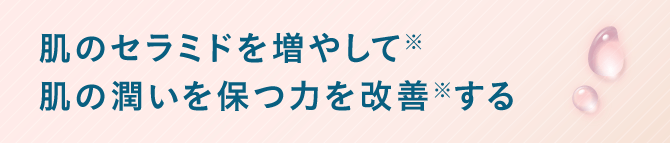 肌のセラミドを増やして※肌のを保つ力潤いを改善※する