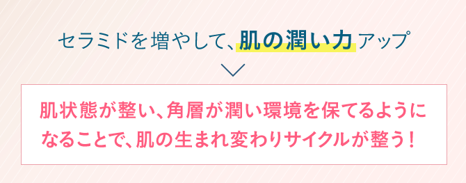 セラミドを増やして、肌の潤い力アップ→肌状態が整い、角層が潤い環境を保てるようになることで、肌の生まれ変わりサイクルが整う！