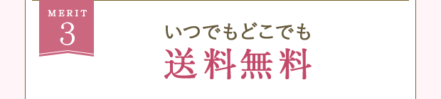 MERIT3 いつでもどこでも送料無料