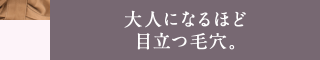 大人になるほど目立つ毛穴。